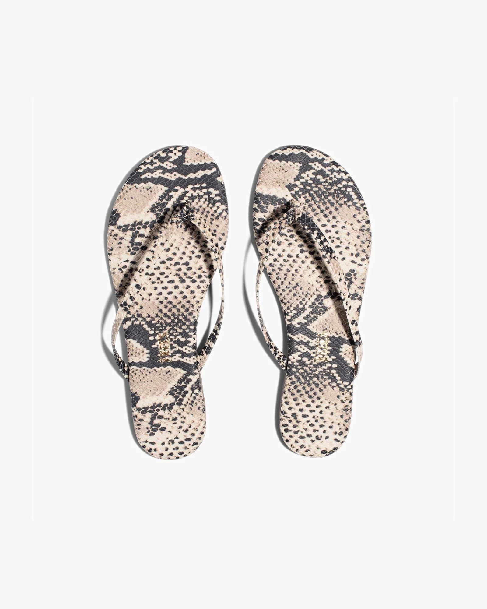 Lily Vegan Animal - Sand Snake | TKEES