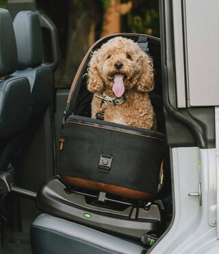 Maeve™ Pet Car Seat, Medium Rigid | Dillard's