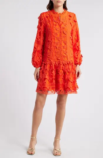 CIEBON Wylla Humbird Lace & Organza Drop Waist Dress | Nordstrom | Nordstrom