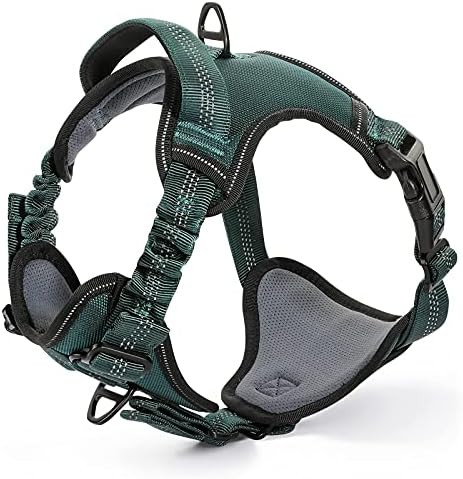rabbitgoo Dog Harness, No Pull Dog Vest for Large Dogs with Bungee Shoulder Straps, Reflective Dog W | Amazon (US)