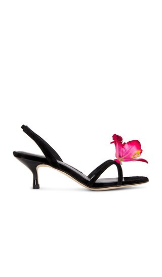 RAYE Kloe Heel in Black. - size 7.5 | Revolve Clothing (Global)