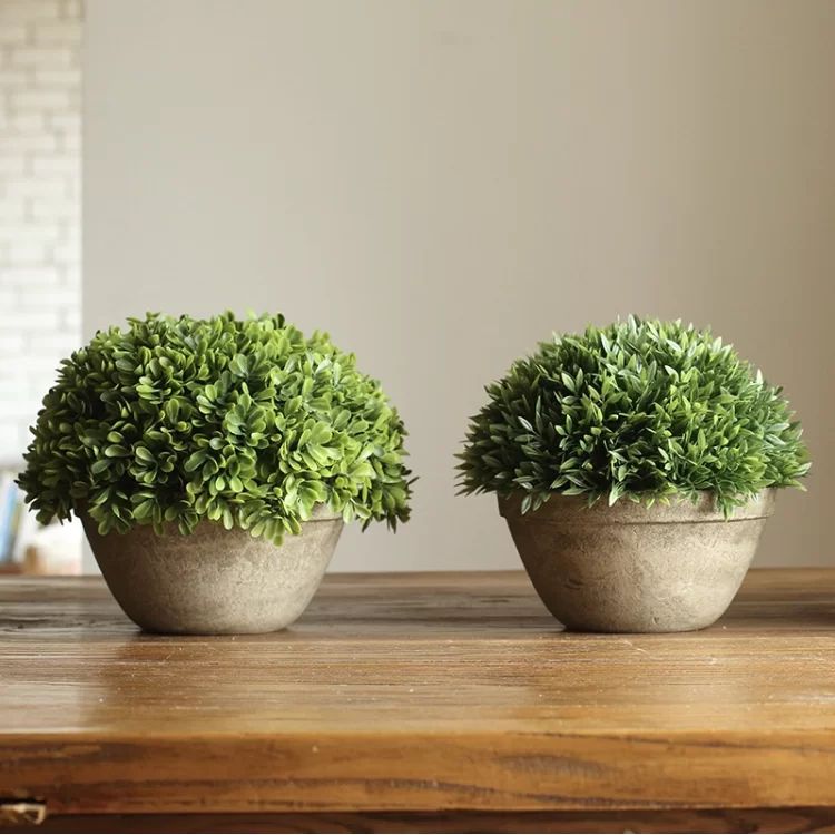 Rustic Boxwood Topiary Pot | Wayfair Professional