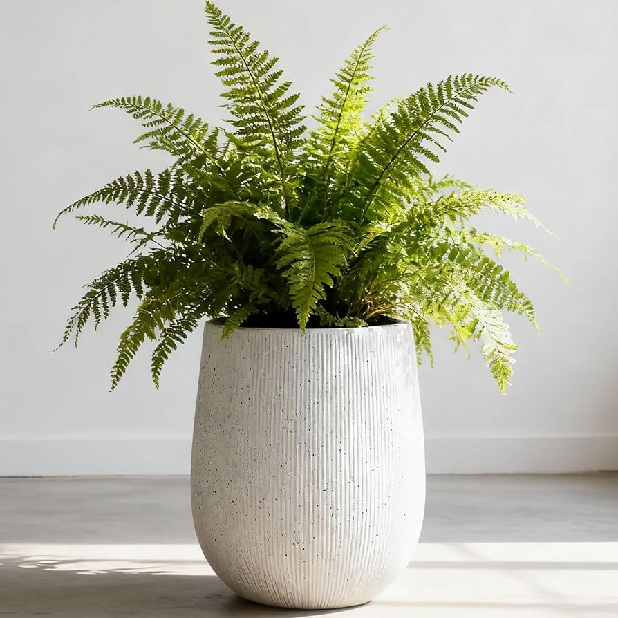 Worth Garden White Large Round Planter, 12.5" Dia x 18.5" H Lightweight Magnesium Oxide Cement Pl... | Amazon (US)