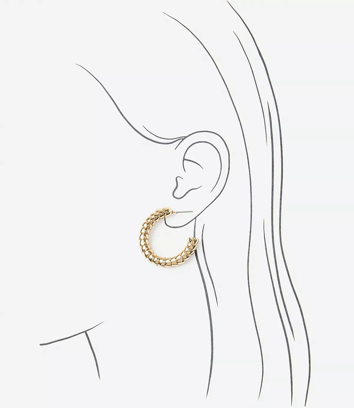 Coiled Hoop Earrings | LOFT
