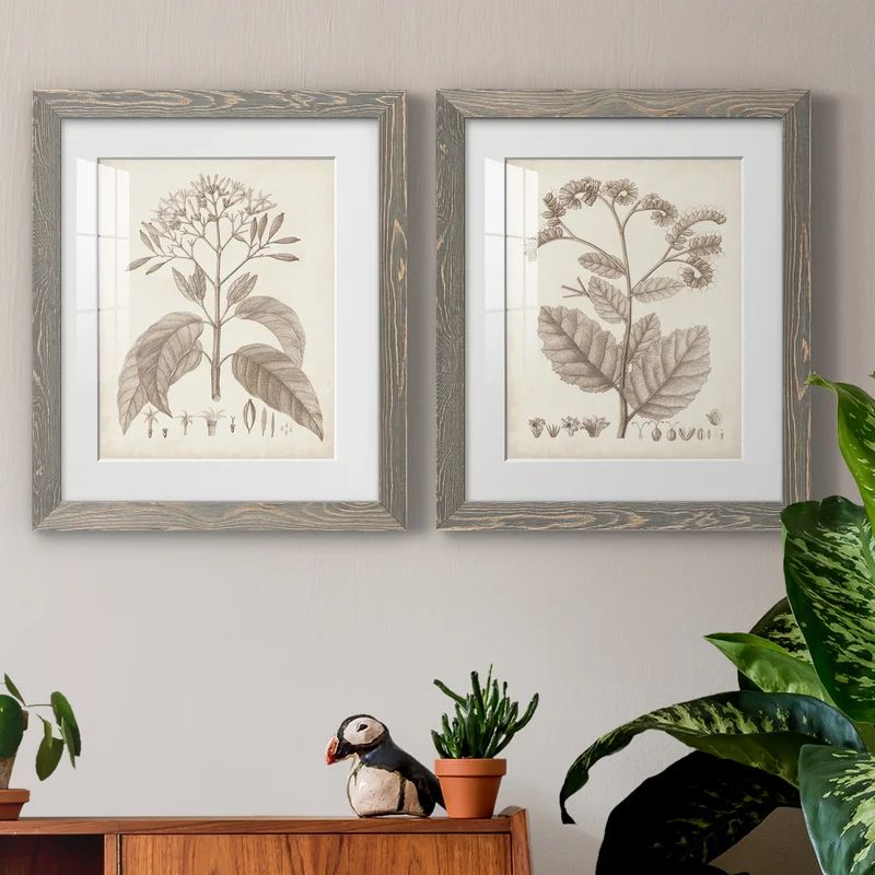 Antique Sepia Botanicals III - 2 Piece Picture Frame Painting Print Set on Paper | Wayfair North America