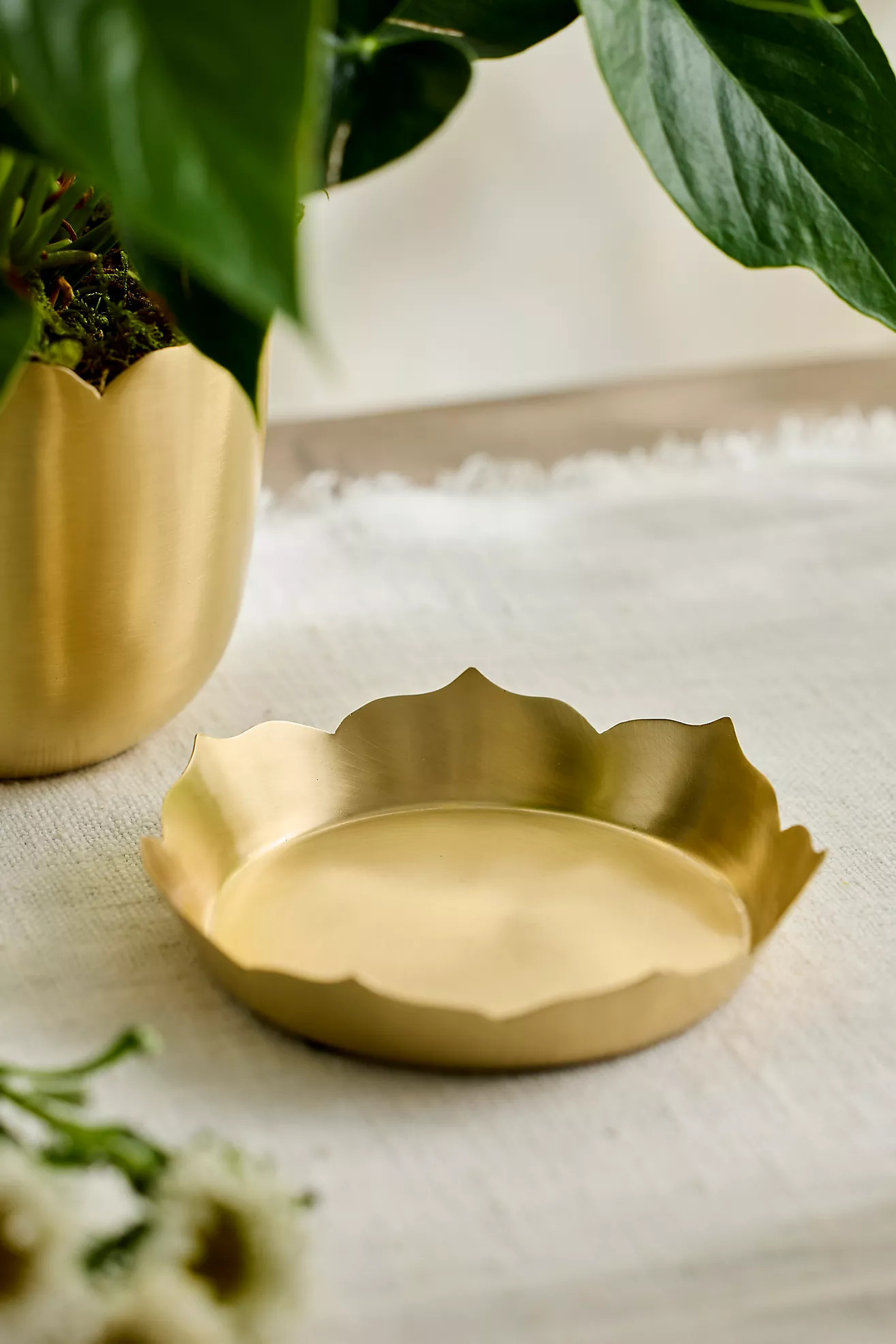 Lotus Edge Polished Brass Saucer | Anthropologie (US)