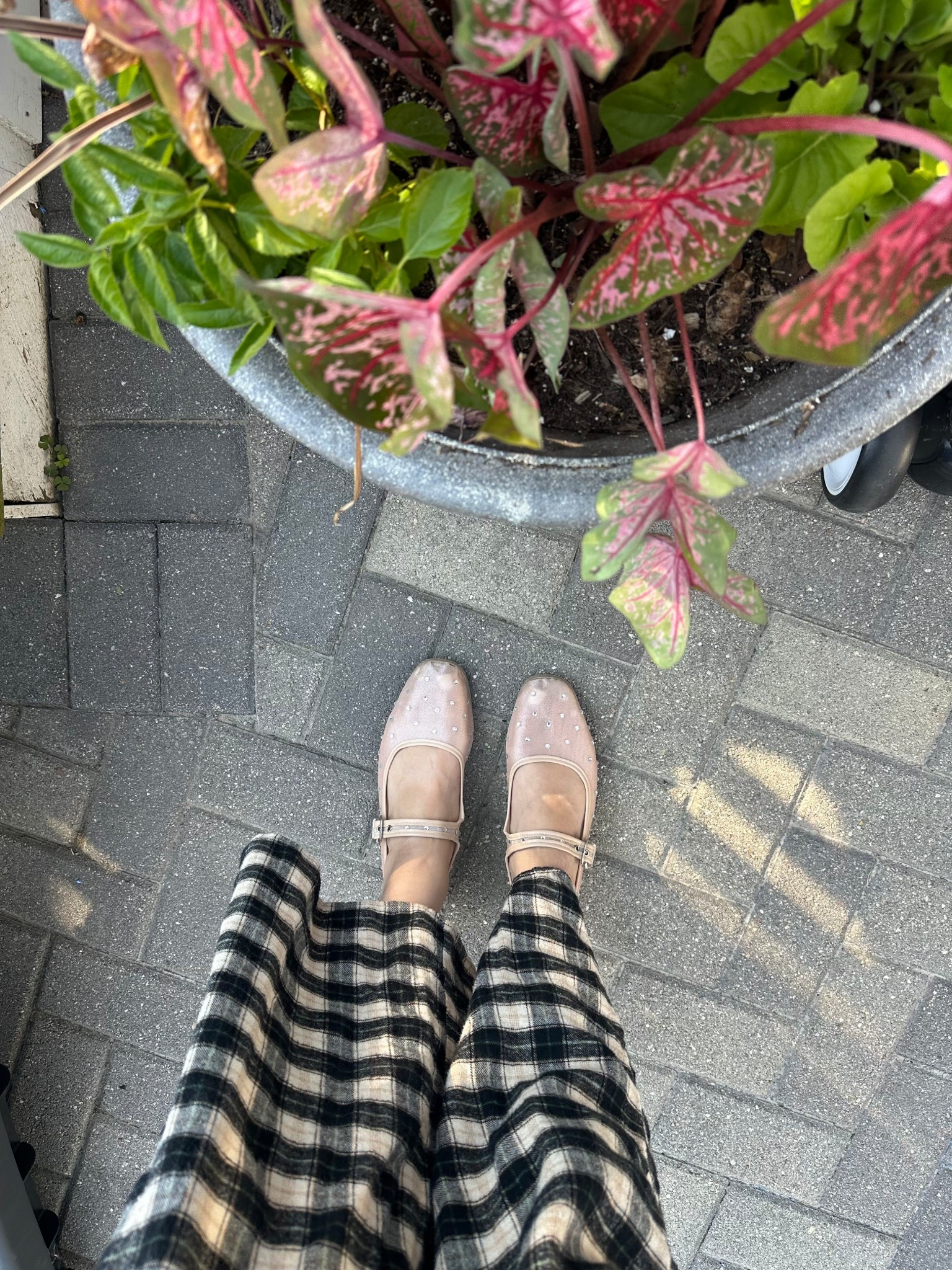 Amazon shoes! 

#LTKFindsUnder50 #LTKSeasonal #LTKSaleAlert