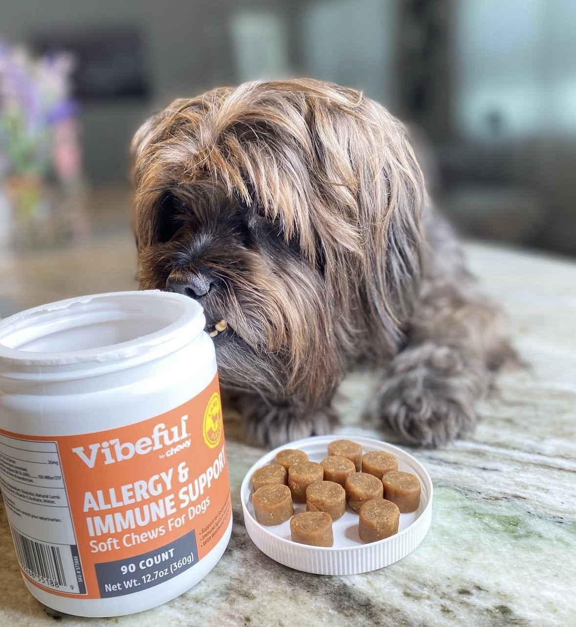 Allergy and immune support chews


#LTKPets #LTKU