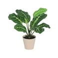 Mainstays 9" Artificial Calathea Plant in Tan Planter Pot | Walmart (US)