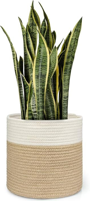 Dahey Jute Spliced Cotton Rope Plant Basket Modern Woven Storage Basket for 10.5" Floor Indoor Pl... | Amazon (US)