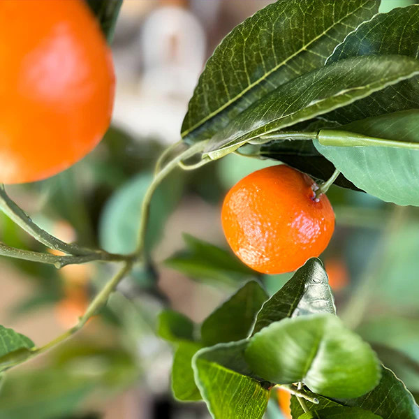 Faux Tangerine Tree, Choose Your Size - Decor Steals | Decor Steals