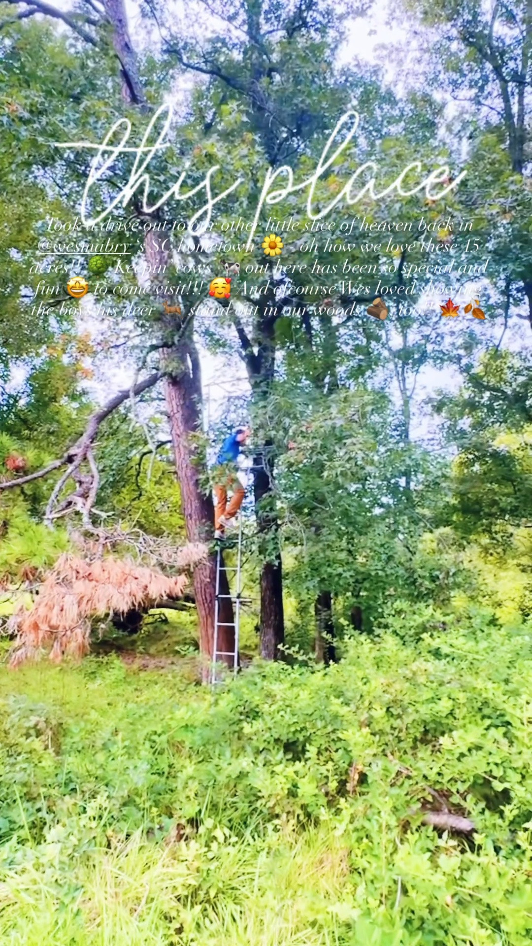 Took a drive out to our other little slice of heaven back in @wesmabry ‘s SC hometown 🌼 - oh how we love these 15 acres!! 🌳 Keepin’ cows 🐄 out here has been so special and fun 🤩 to come visit!!! 🥰 And ofcourse Wes loved showing the boys his deer 🦌 stand out in our woods 🪵, too!! 🍁🍂
