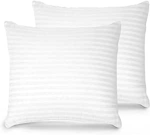 Trendy Home 22x22 Throw Pillow Insert, Cushion Sham Stuffer Hypoallergenic Decorative Home Outdoo... | Amazon (US)