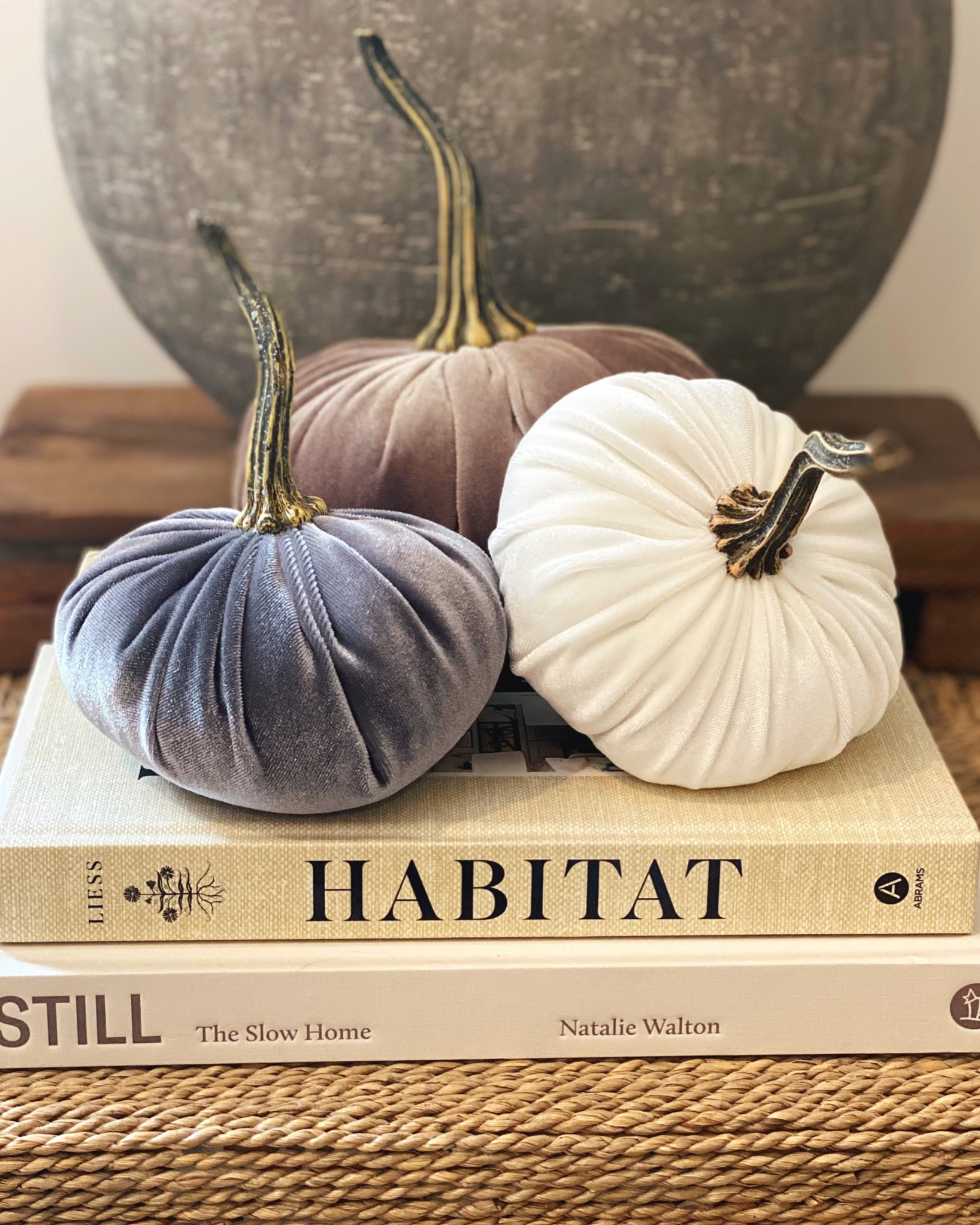 Velvet pumpkins for Fall home decor from Amazon #amazon #pumpkin #pumpkins #velvet

#LTKunder50 #LTKhome