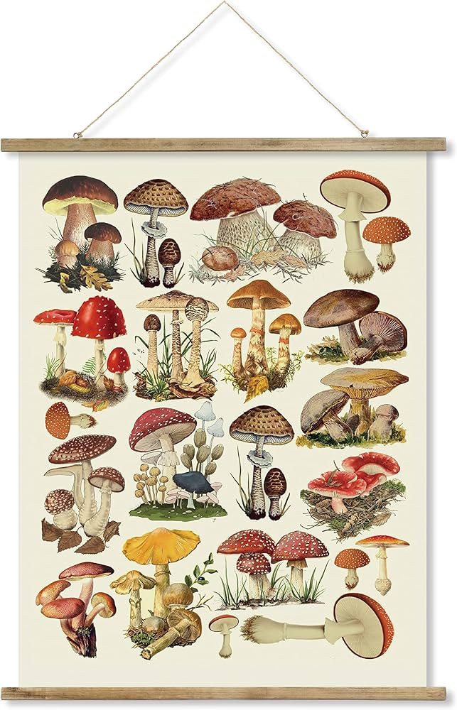 Vintage Mushroom Poster Hanger Frame, Patterns are Printed on Linen Without Fading, Scrolls Made ... | Amazon (US)
