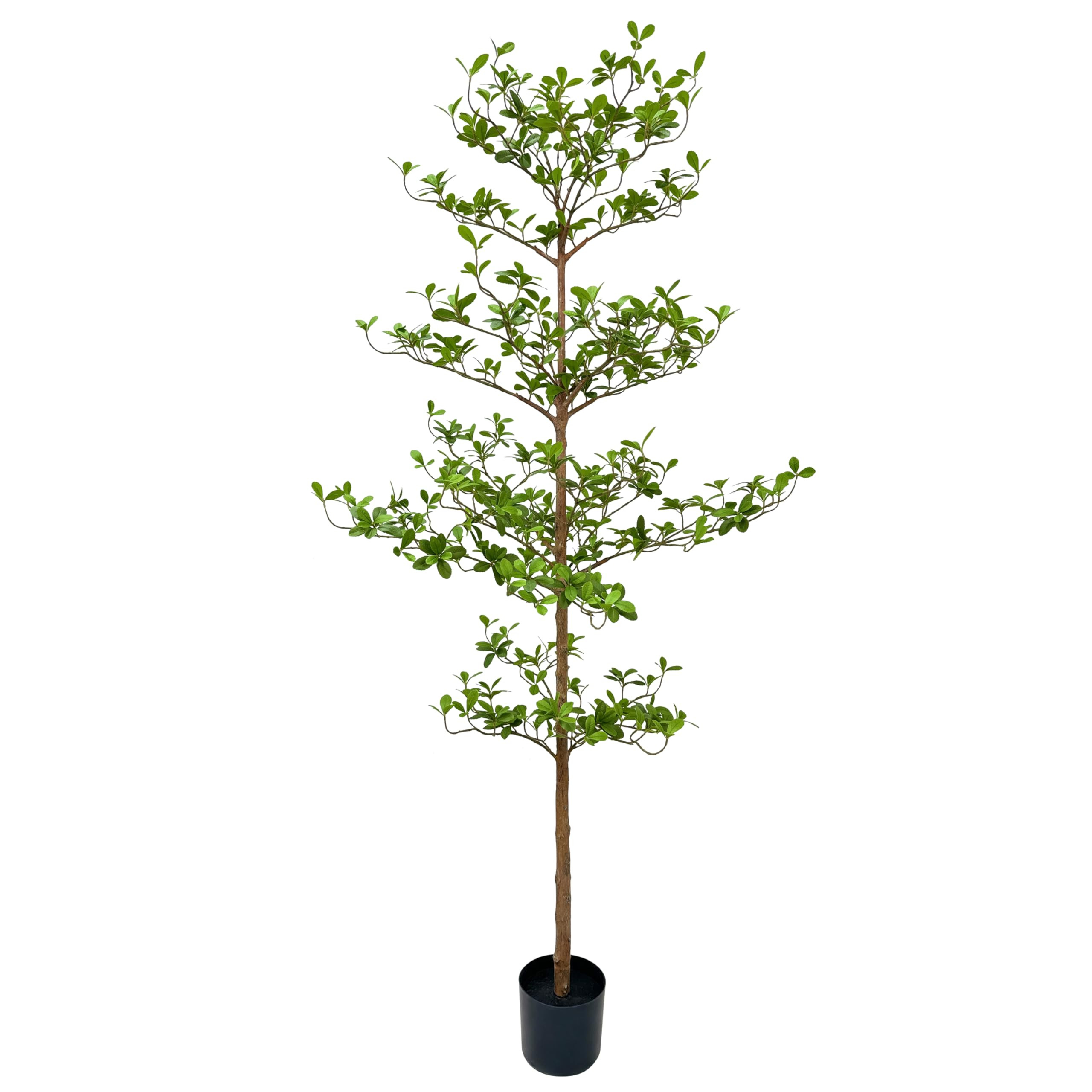 Artificial Black Olive Tree, 7FT Tall Faux Shady Lady Tree with Potted, Fake Olive Tree for Home ... | Amazon (US)