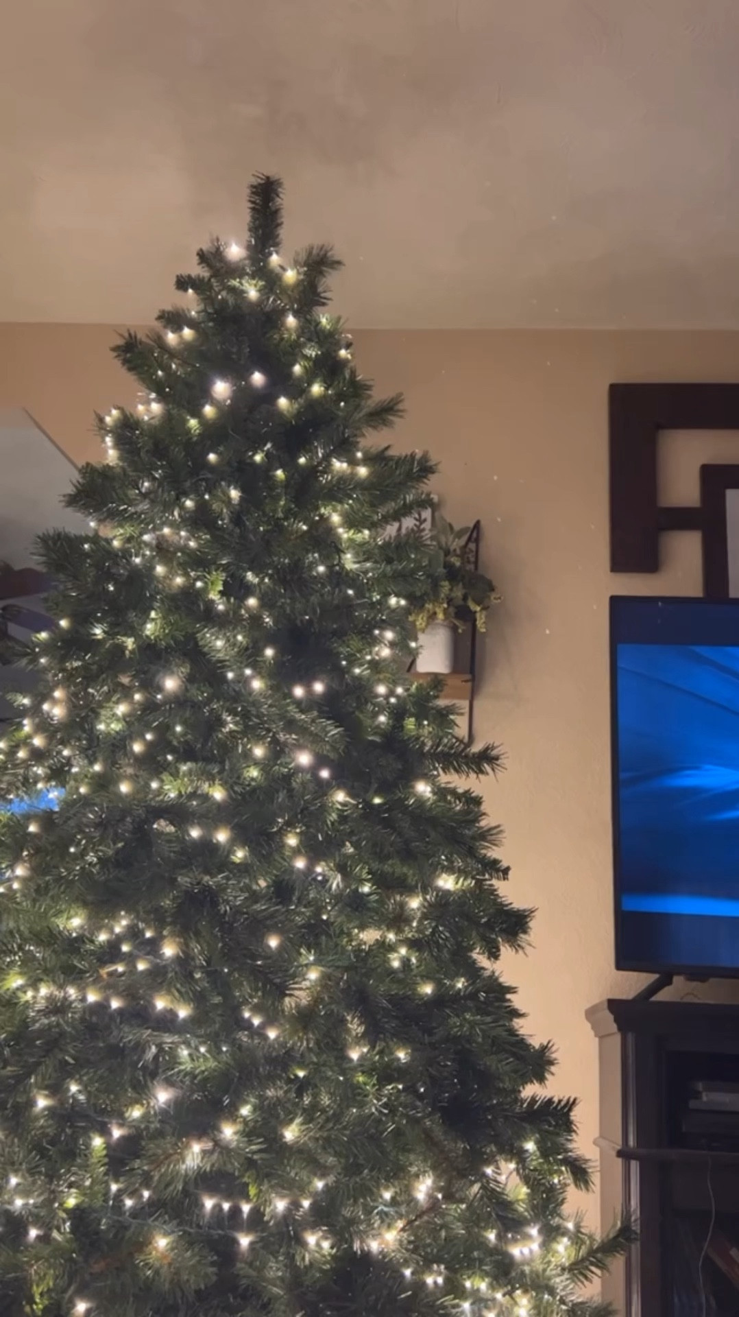 Budget friendly twinkling Christmas Tree 🎄⭐️✨ Home Depot lights & I linked the tree from Walmart 🫶🏻

#LTKFamily #LTKSeasonal #LTKHoliday