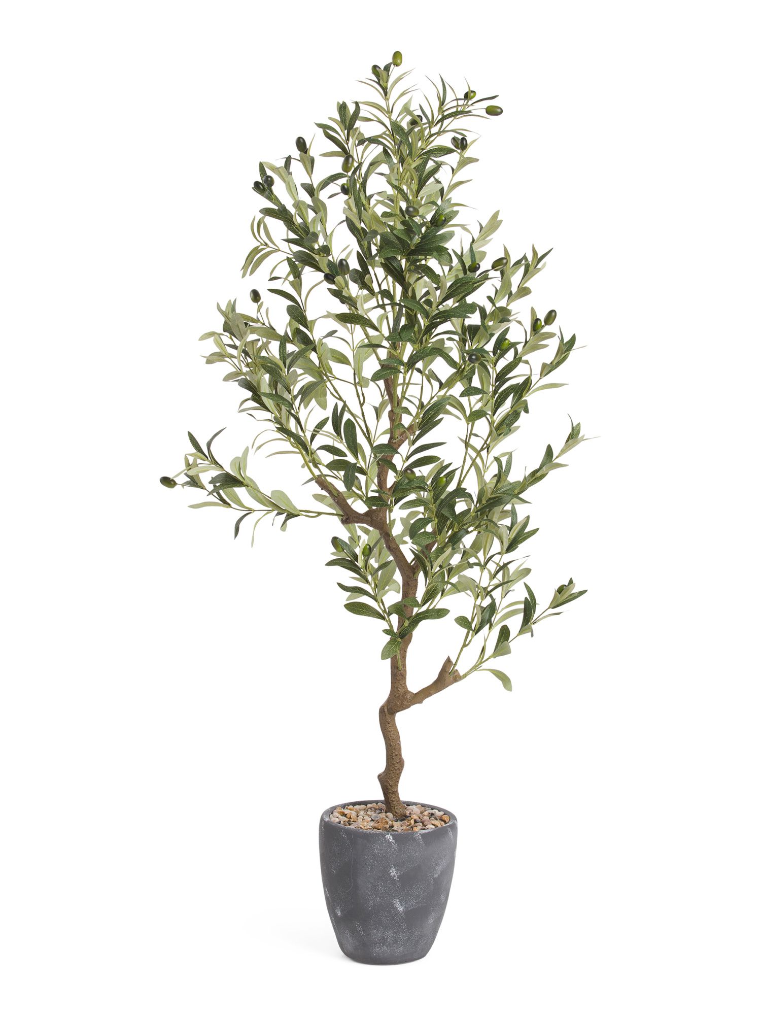 54in Olive Tree In Cement Pot | TJ Maxx
