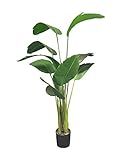 AMERIQUE Unique and Gorgeous 5' Bird of Paradise Artificial Tree Plant Real Touch Technology, with N | Amazon (US)