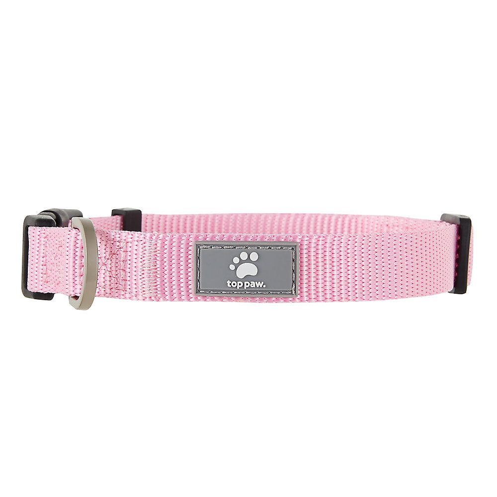 Top Paw® Signature Dog Collar | PetSmart