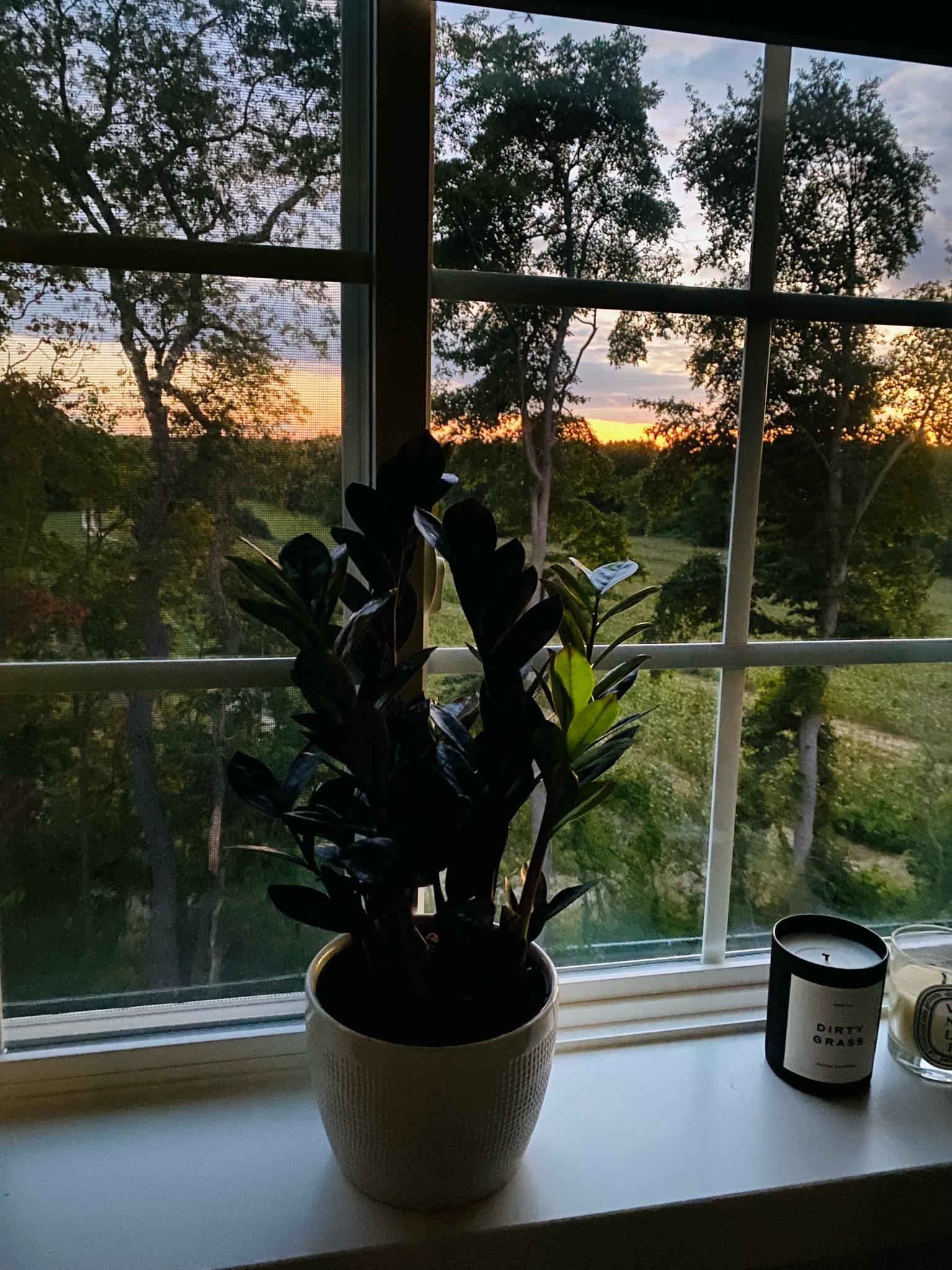 Plant 🪴 Mom 


#LTKU #LTKhome #LTKSeasonal