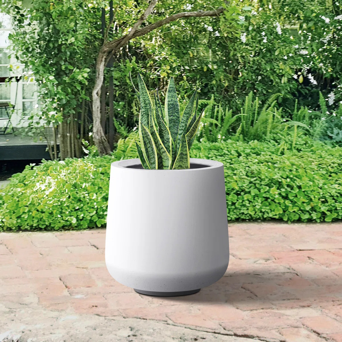 Ebern Designs | Wayfair North America