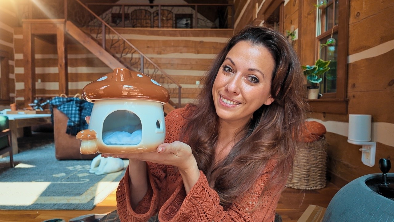 Fairy Garden Haul

#LTKSeasonal #LTKHome