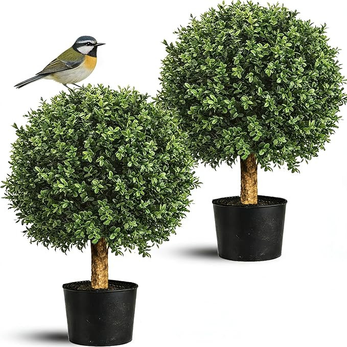 Artificial Boxwood Topiary Tree, 24" Faux Outdoor Plant in Pot, UV Resistant Fake Greenery for Fr... | Amazon (US)