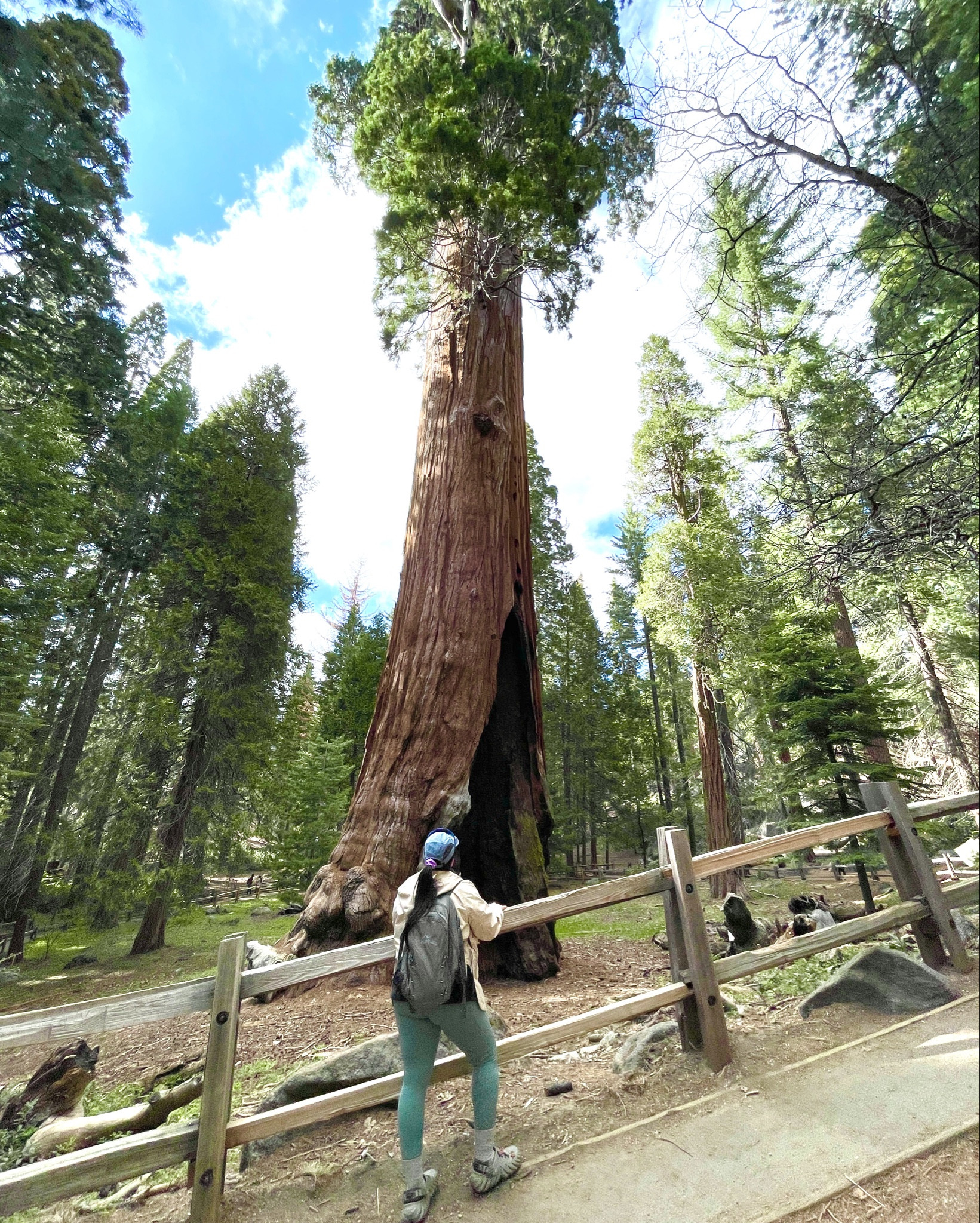 Second biggest tree in the world!! Kings Canyon - General Grant. I love putting together my hiking outfits. Shop this look 

#LTKFitness #LTKTravel