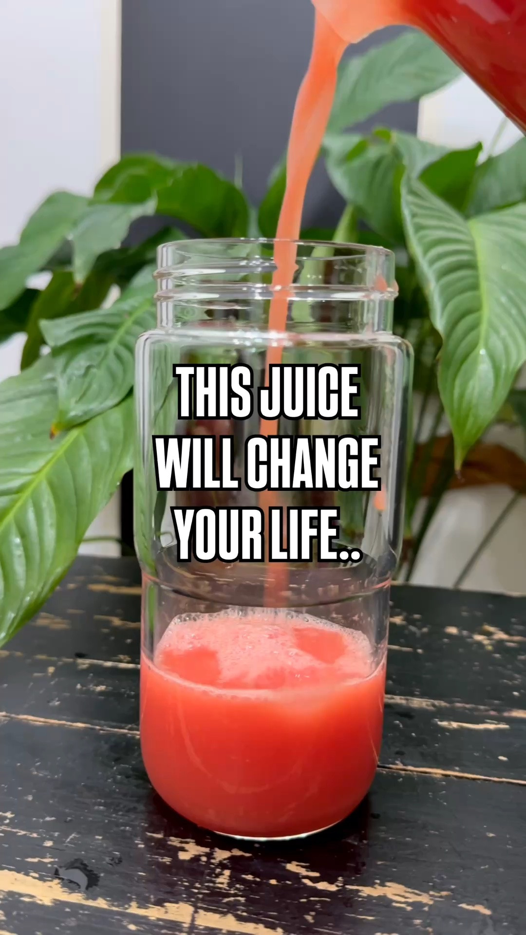 One more day of Prime Day is left and my favorite juicer and all my favorite juicing tools are STILL on sale 😍✨

If you’ve been thinking about starting your juicing journey, improving your health, or finally investing in a juicer that makes juicing easy, this is your sign.

My juicer, storage bottles, cutting tools, and all my favorite juicing essentials are on sale right now, but not for much longer.

Shop all my juicing favorites on my LTK before the deals end.

#ShoppingWithPriiincesss #PrimeDay #NamaJ2 #ColdPressedJuicer #JuicingLife #PrimeDayDeals #HealthyLifestyle #FreshJuice #JuicerLife #HealthyHabits #KitchenFavorites #WellnessJourney #HealthAndWellness #AtlantaMom #Atlantamom #Atlantabloggers #Atlantablogger #AtlantaCreator #Atlantacontentcreators #Atlantacontentcreator

#LTKfoodie #LTKActive #LTKHome