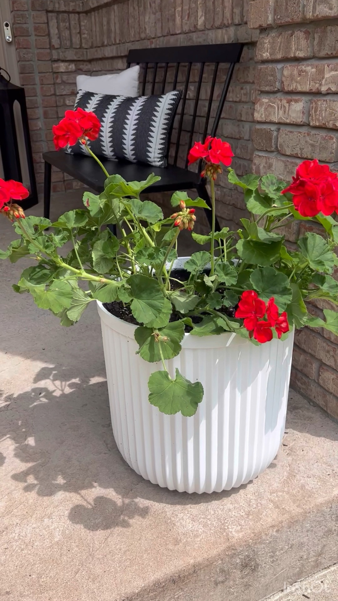 These are the best large planters and affordable! Back in stock at Walmart! #planters #porchdecor #frontporch #flowerpots 

#LTKxWalmart #LTKHome #LTKSeasonal