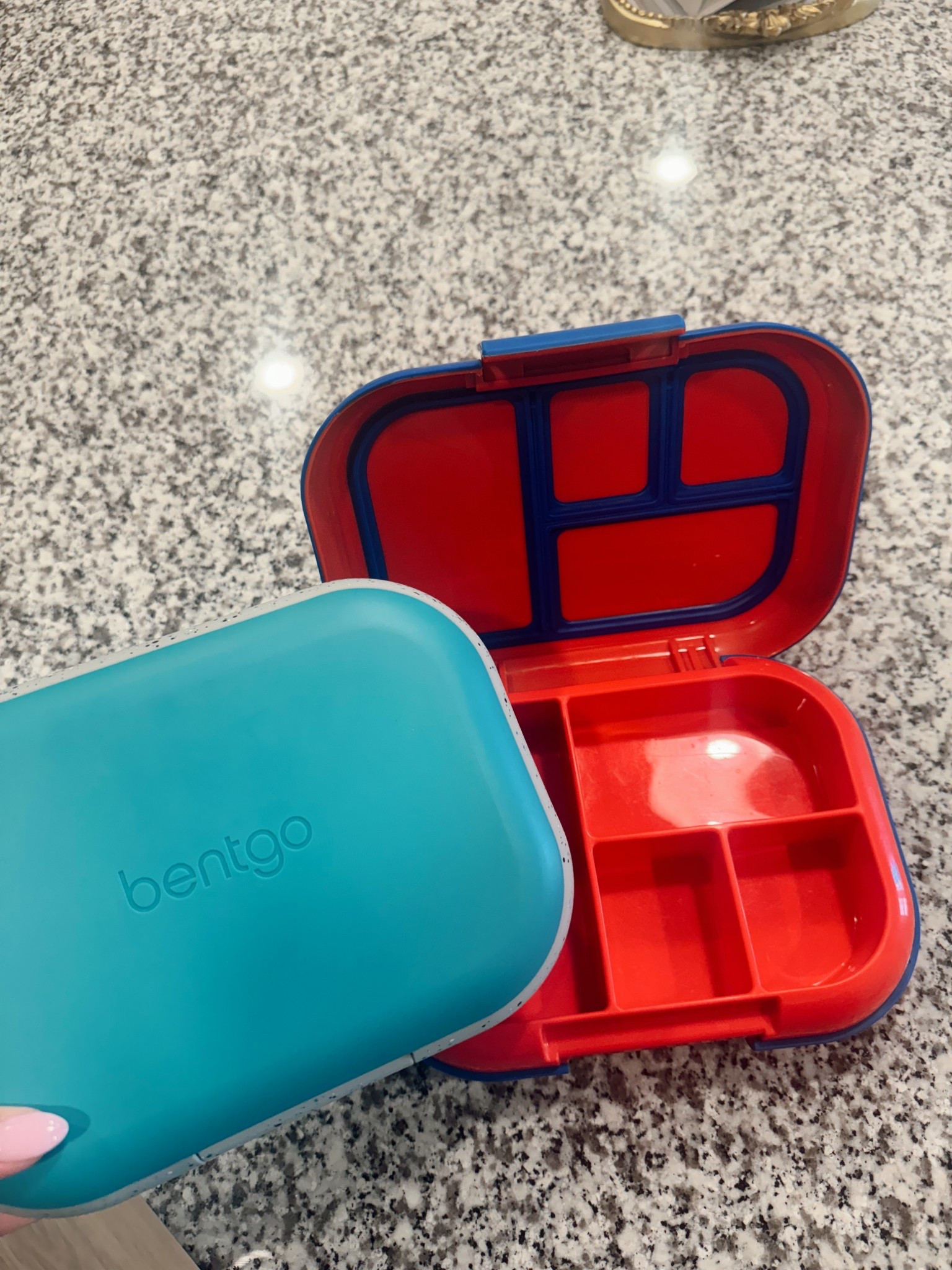 My favorite lunch organizers ever! They have an ice pack you put under them to keep the food cold!

#LTKFamily #LTKBaby #LTKKids