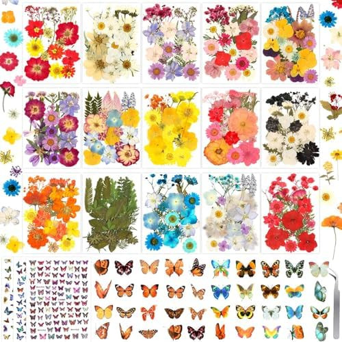 630 Pcs Dried Pressed Flowers with Butterfly Stickers for Crafts, Real Pressed Wildflowers Dry Le... | Amazon (US)