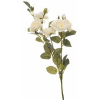 Soft White Cottage Rose Stem Artificial Plant - Fabric/Plastic - L8 x W8 x H53 cm - Green | ManoMano UK
