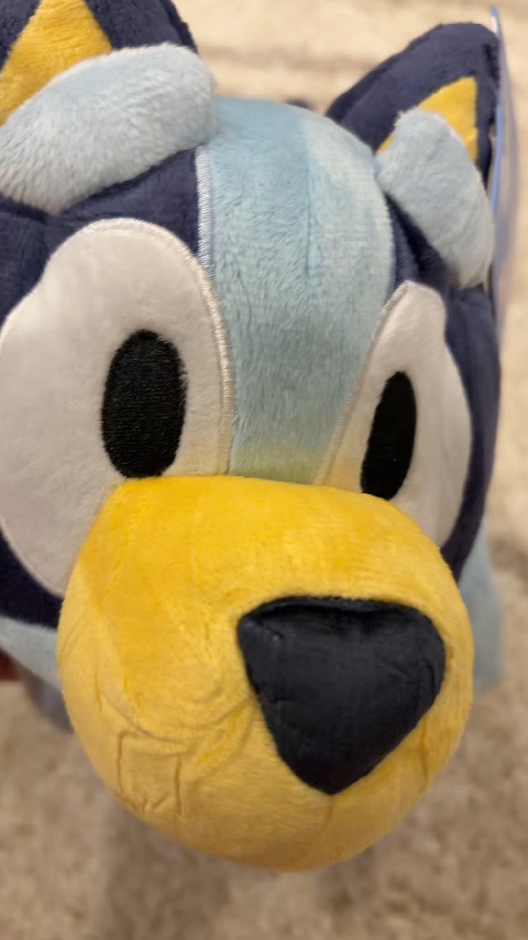 Grannies has to be my fav. I just think it’s hilarious!! #pillowpet #bluey

#LTKmomlife #LTKKids #LTKBaby
