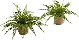 Nearly Natural 6814-S2 15in. Boston Fern with Burlap Planter (Set of 2) Silk Plants Green | Amazon (US)