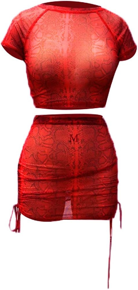 Women 2 Piece Dress Snakeskin Print Mesh Crop Top Lace Up Mini Skirt | Amazon (US)