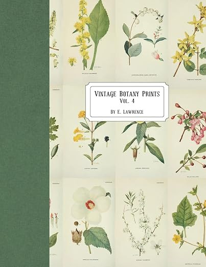 Vintage Botany Prints: Vol. 4 | Amazon (US)