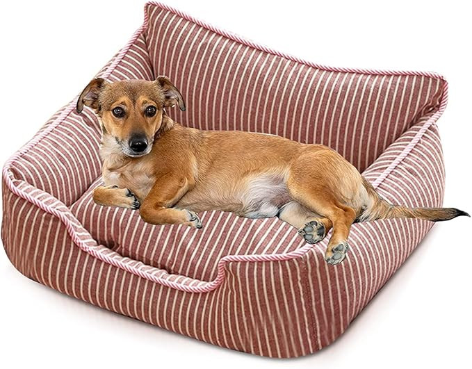 PETCUTE Panier pour Chien Durable et Confortable,Lavable Coussin pour Chien et Chats,Lavable en M... | Amazon (FR)