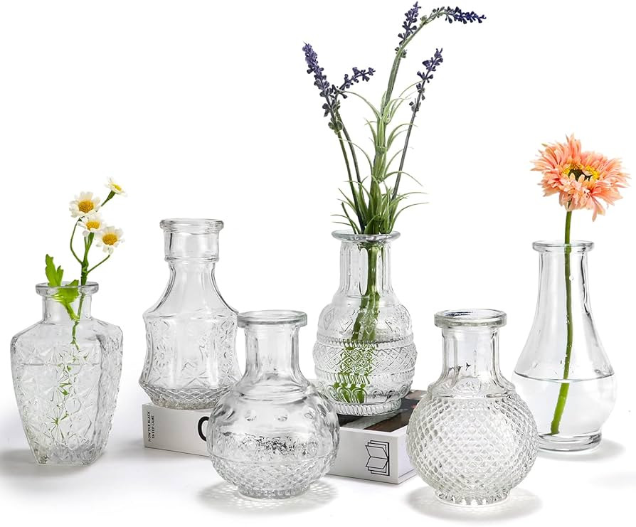 Clear Glass Single Bud Vases Set of 6,BIGIVACA Vintage Bud Vases in Bulk,Bud Vase for Centerpiece... | Amazon (US)