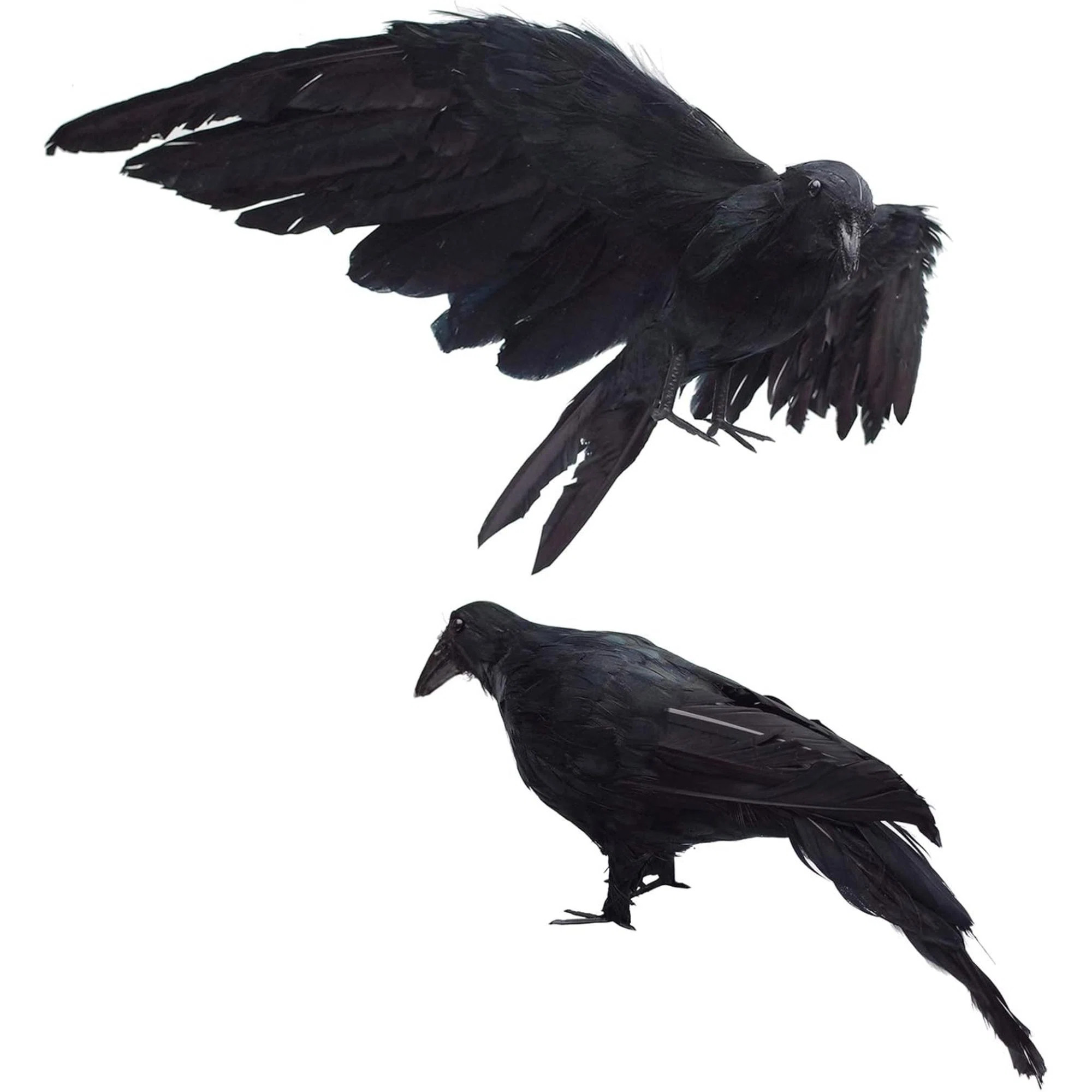 2-Pack Realistic Crows Lifesize Extra Large Handmade Feathered Crow For Halloween Decorations Birds, | Wayfair North America