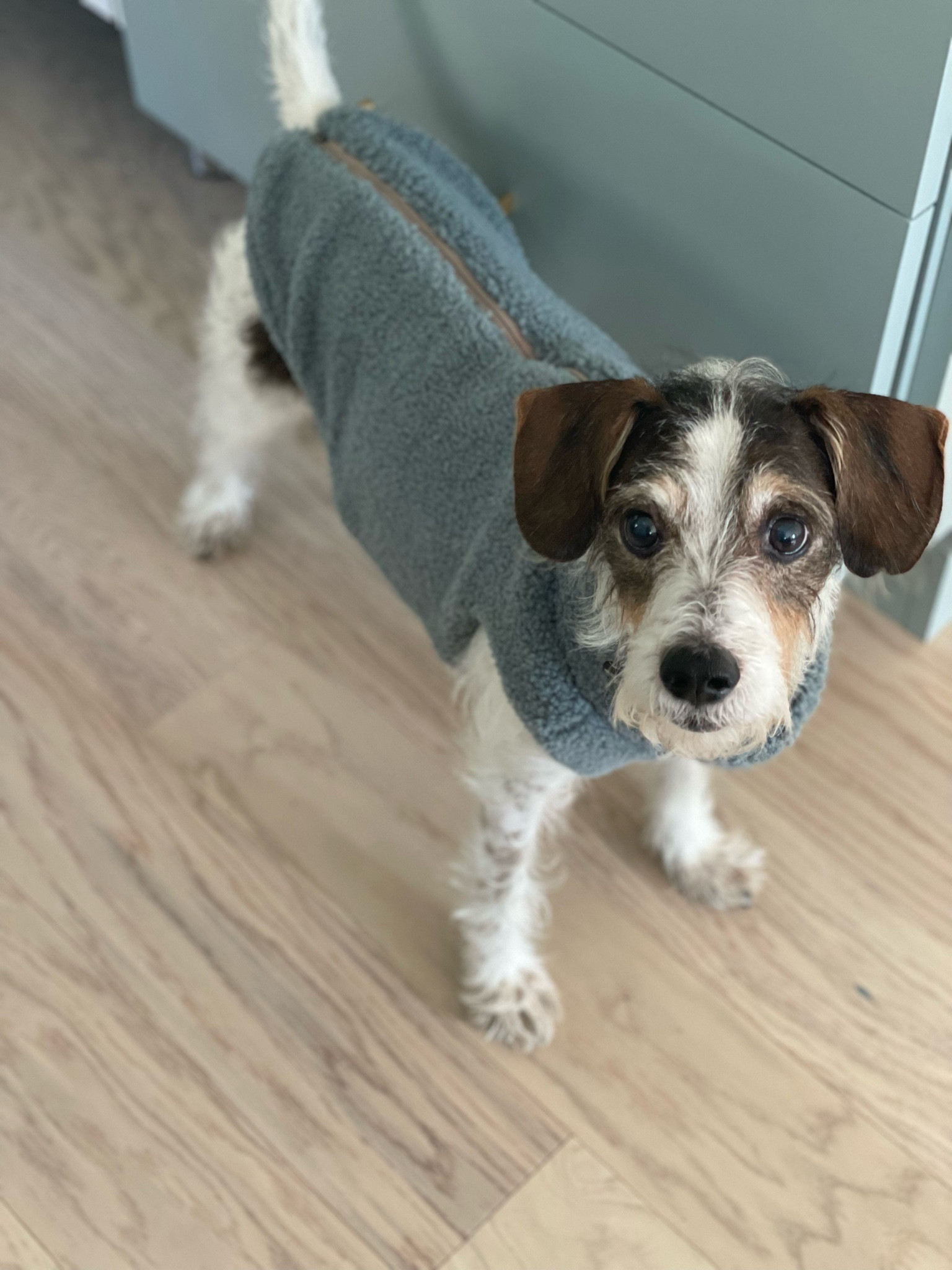 when your outfit matches the kitchen.

#LTKfindsunder50 #LTKhome #LTKfamily
