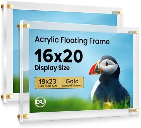 Acrylic Floating Frames Gold Standoffs(2-pack) 16" x 20" Clear Acrylic Frames for Wall Mount Floa... | Amazon (US)