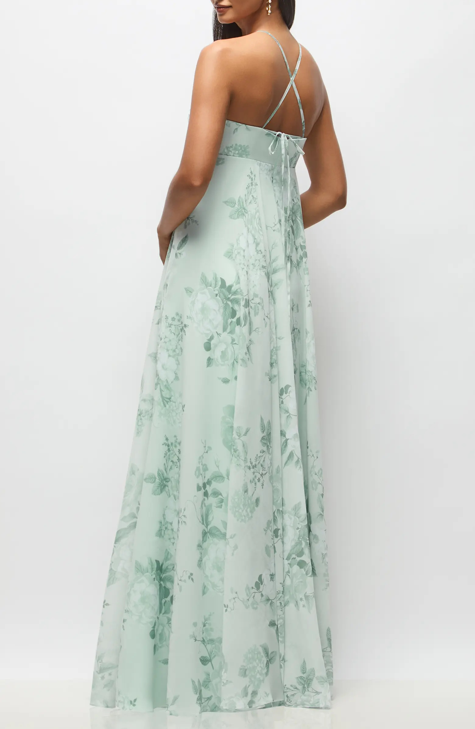 Lilith Floral Chiffon Gown | Nordstrom