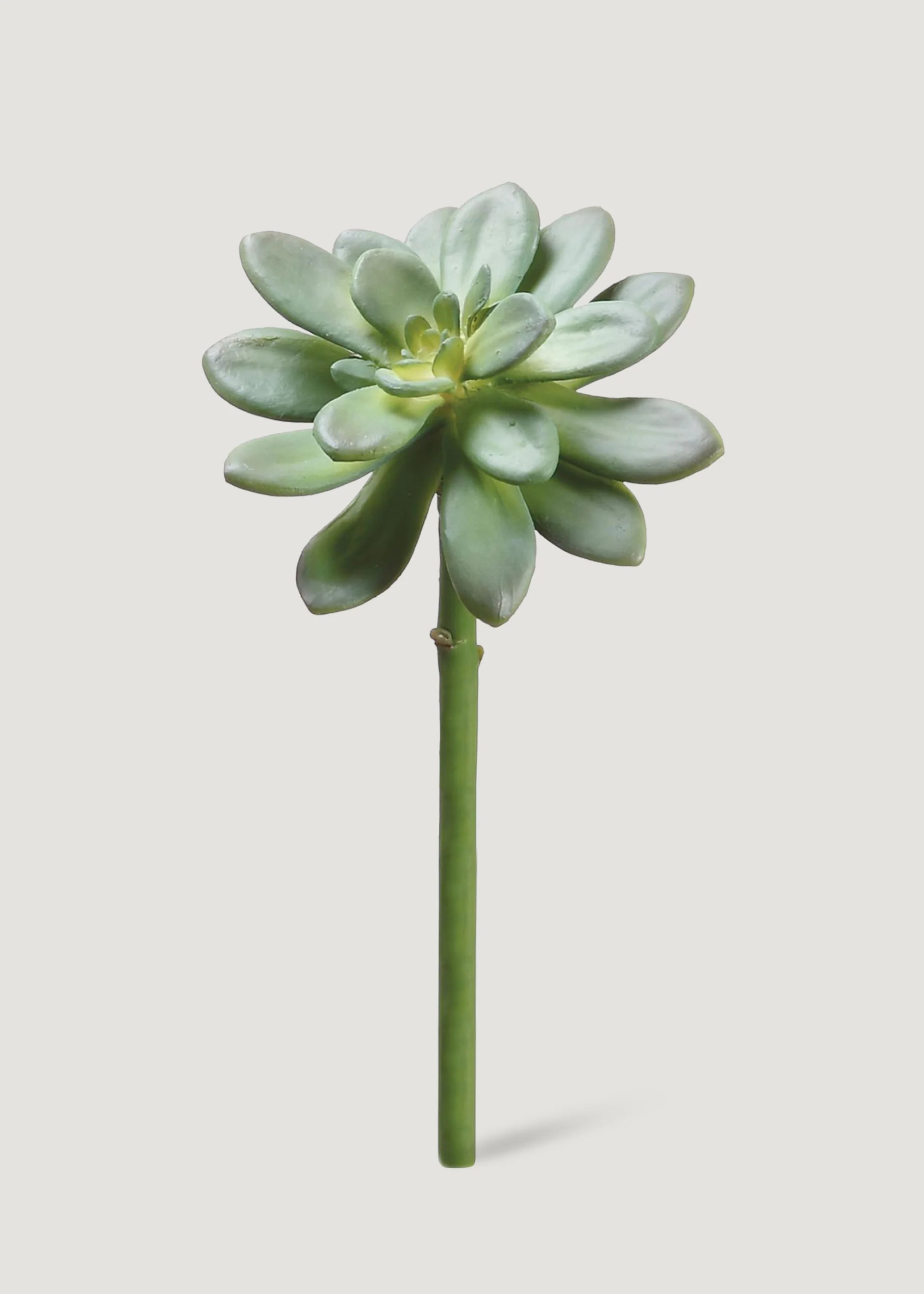 Fake Succulents Echeveria Pick - 10 | Afloral