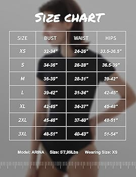 PUMIEY Women's Crew Neck Short Sleeve Bodysuit Fashion T-shirt Tops Smoke Cloud Pro Collection | Amazon (US)