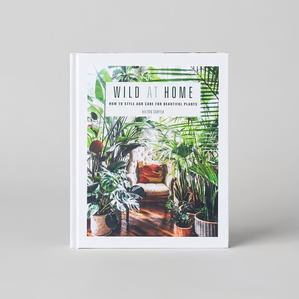 Wild at Home: How to Style and Care for Beautiful Plants | Bloomist