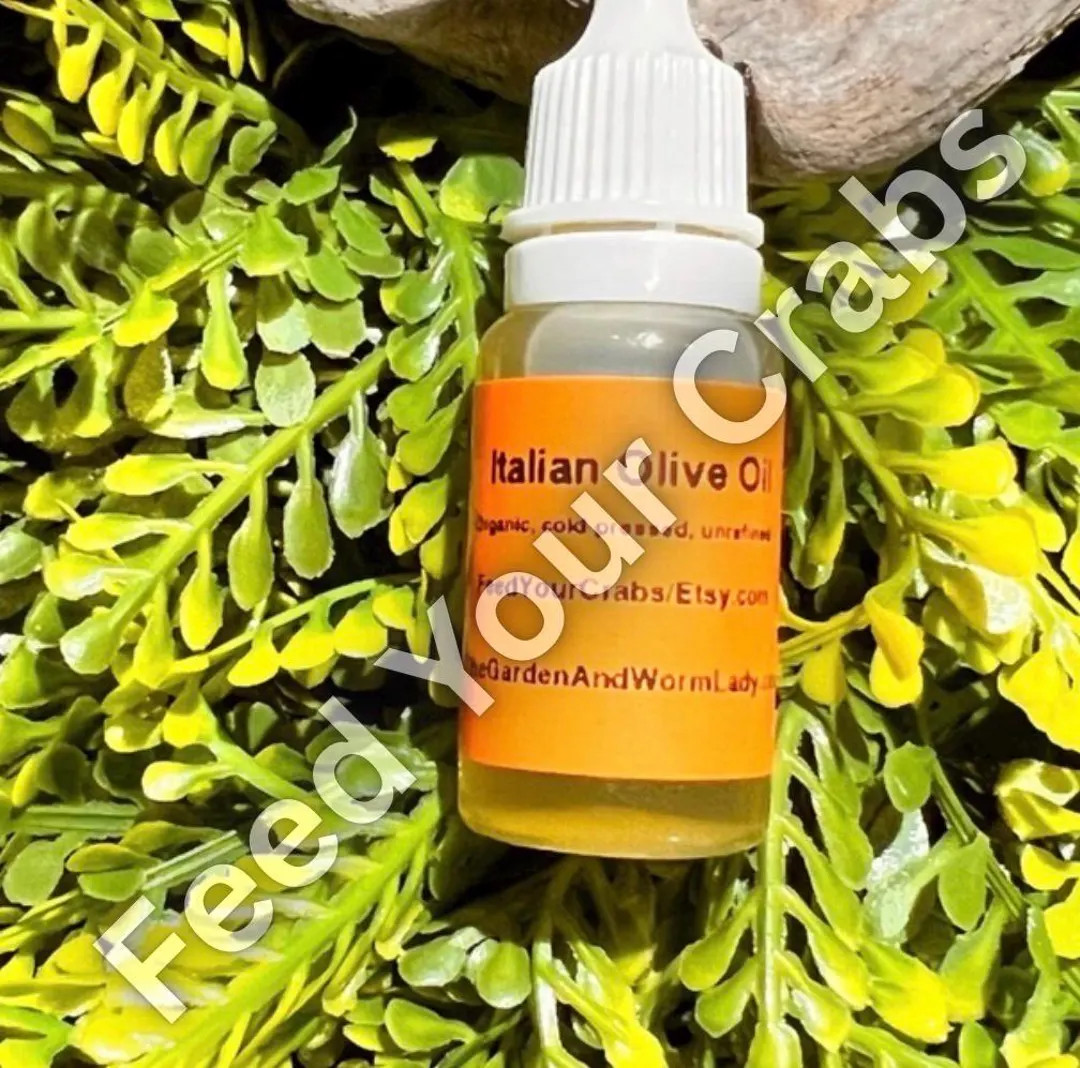 Italian Olive Oil for Hermit Crabs, Organic, Extra Virgin (10-mil Bottle) - Etsy | Etsy (US)