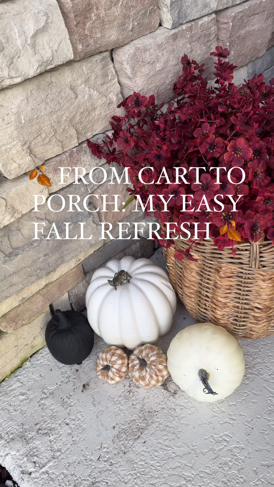 🍂 Easy Fall Porch Refresh 🍂

Faking fall in Florida with UV-resistant faux mums 🌼 They look so real my neighbors had to touch them—no watering, no wilting, just beautiful color all season long.

I styled my porch with affordable fall decor finds from Amazon, Target, Walmart, Lowe’s, and At Home → including pumpkins, planters, and mums for the perfect autumn look. Tap to shop my fall porch decor favorites!

faux mums, fall porch decor, Amazon decor, front porch styling, outdoor fall decor

#LTKSaleAlert #LTKHome #LTKSeasonal