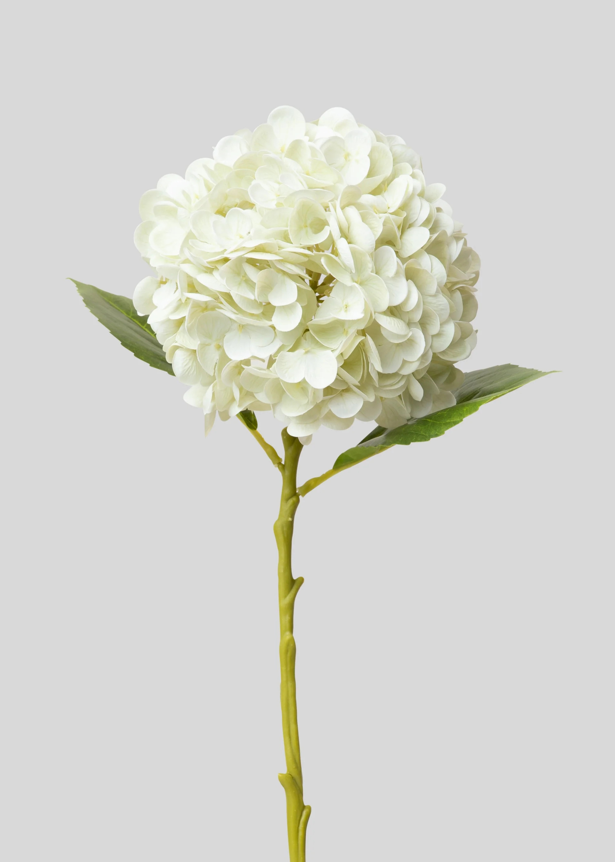 Faux Hydrangea in Cream White | Real Touch Flowers | Afloral | Afloral